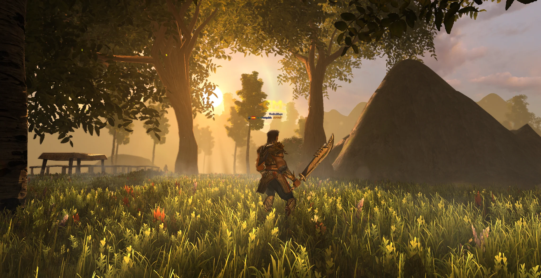 Portfolio showcase 9